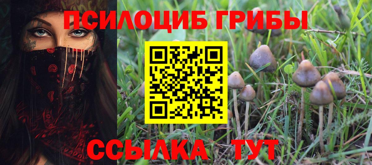 Галлюциногенные грибы Magic Shrooms  магазин продажи   Галлюциногенные грибы Cubensis  Кириши  Вход с VPN 